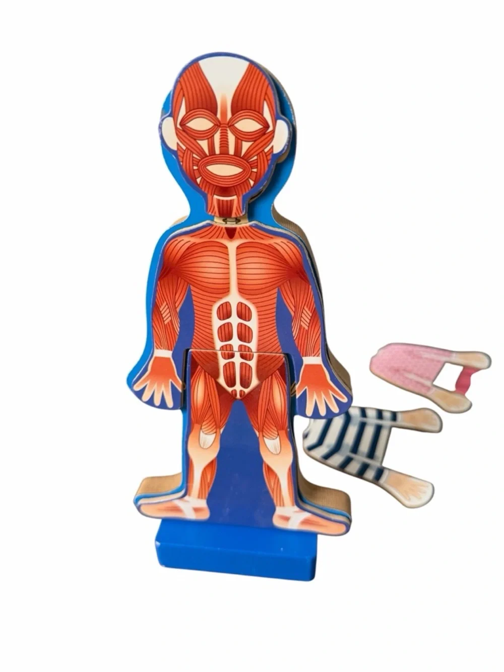 Melissa & Doug Magnetic Human Body Anatomy Play Set with 24 pcs and Storage Tray